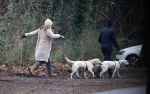 Huizen 13 januari 2024
Linda de Mol en Jeroen Rietbergen samen wandelend met hun 2 honden / labradors.