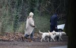 Huizen 13 januari 2024
Linda de Mol en Jeroen Rietbergen samen wandelend met hun 2 honden / labradors.
