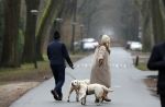 Huizen 13 januari 2024
Linda de Mol en Jeroen Rietbergen samen wandelend met hun 2 honden / labradors.