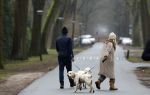 Huizen 13 januari 2024
Linda de Mol en Jeroen Rietbergen samen wandelend met hun 2 honden / labradors.