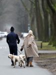 Huizen 13 januari 2024
Linda de Mol en Jeroen Rietbergen samen wandelend met hun 2 honden / labradors.
