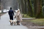 Huizen 13 januari 2024
Linda de Mol en Jeroen Rietbergen samen wandelend met hun 2 honden / labradors.