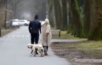 Huizen 13 januari 2024
Linda de Mol en Jeroen Rietbergen samen wandelend met hun 2 honden / labradors.