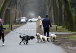 Huizen 13 januari 2024
Linda de Mol en Jeroen Rietbergen samen wandelend met hun 2 honden / labradors.