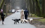 Huizen 13 januari 2024
Linda de Mol en Jeroen Rietbergen samen wandelend met hun 2 honden / labradors.