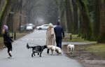 Huizen 13 januari 2024
Linda de Mol en Jeroen Rietbergen samen wandelend met hun 2 honden / labradors.