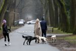 Huizen 13 januari 2024
Linda de Mol en Jeroen Rietbergen samen wandelend met hun 2 honden / labradors.