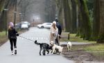 Huizen 13 januari 2024
Linda de Mol en Jeroen Rietbergen samen wandelend met hun 2 honden / labradors.