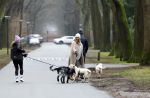 Huizen 13 januari 2024
Linda de Mol en Jeroen Rietbergen samen wandelend met hun 2 honden / labradors.