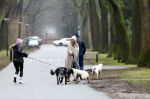 Huizen 13 januari 2024
Linda de Mol en Jeroen Rietbergen samen wandelend met hun 2 honden / labradors.