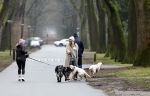 Huizen 13 januari 2024
Linda de Mol en Jeroen Rietbergen samen wandelend met hun 2 honden / labradors.
