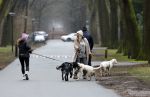 Huizen 13 januari 2024
Linda de Mol en Jeroen Rietbergen samen wandelend met hun 2 honden / labradors.