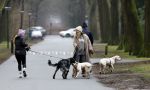 Huizen 13 januari 2024
Linda de Mol en Jeroen Rietbergen samen wandelend met hun 2 honden / labradors.