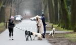 Huizen 13 januari 2024
Linda de Mol en Jeroen Rietbergen samen wandelend met hun 2 honden / labradors.