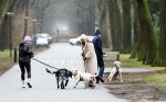 Huizen 13 januari 2024
Linda de Mol en Jeroen Rietbergen samen wandelend met hun 2 honden / labradors.