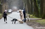 Huizen 13 januari 2024
Linda de Mol en Jeroen Rietbergen samen wandelend met hun 2 honden / labradors.