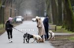 Huizen 13 januari 2024
Linda de Mol en Jeroen Rietbergen samen wandelend met hun 2 honden / labradors.