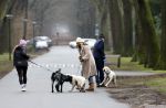 Huizen 13 januari 2024
Linda de Mol en Jeroen Rietbergen samen wandelend met hun 2 honden / labradors.