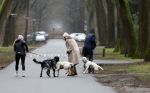Huizen 13 januari 2024
Linda de Mol en Jeroen Rietbergen samen wandelend met hun 2 honden / labradors.