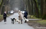 Huizen 13 januari 2024
Linda de Mol en Jeroen Rietbergen samen wandelend met hun 2 honden / labradors.