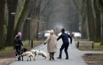 Huizen 13 januari 2024
Linda de Mol en Jeroen Rietbergen samen wandelend met hun 2 honden / labradors.