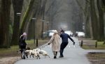Huizen 13 januari 2024
Linda de Mol en Jeroen Rietbergen samen wandelend met hun 2 honden / labradors.