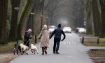 Huizen 13 januari 2024
Linda de Mol en Jeroen Rietbergen samen wandelend met hun 2 honden / labradors.