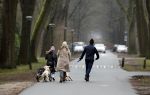 Huizen 13 januari 2024
Linda de Mol en Jeroen Rietbergen samen wandelend met hun 2 honden / labradors.