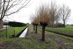 Lisse 6 januari 2023
Op deze locatie naast de Lissesche ijsbaan zou Maxime Meiland verkracht zijn . De speelrekken die daar stonden zijn onlangs weg gehaald . De gaten in de grond zitten er nog .