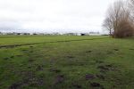 Lisse 6 januari 2023
Op deze locatie naast de Lissesche ijsbaan zou Maxime Meiland verkracht zijn . De speelrekken die daar stonden zijn onlangs weg gehaald . De gaten in de grond zitten er nog .