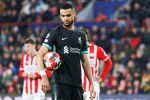 Eindhoven, 29 Januari 2025
8e en laatste wedstrijd  Champions League seizoen 2024-2025 PSV-FC Liverpool, eindstand 3-2
Gody Gakpo
Fotograaf Marco Ferrageau