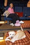Amsterdam 6 januari 2025
Premiere Hond en ik in het vondelparkpaviljoen . Anouk Smulders en Scoop