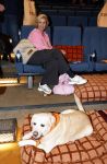 Amsterdam 6 januari 2025
Premiere Hond en ik in het vondelparkpaviljoen . Anouk Smulders en Scoop