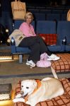 Amsterdam 6 januari 2025
Premiere Hond en ik in het vondelparkpaviljoen . Anouk Smulders en Scoop