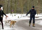 Huizen 11 januari 2026
Linda de Mol en haar partner Jeroen Rietbergen laten in een koud Huizen hun twee honden uit . Ze zijn beide warm aangekleed .