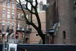 Amsterdam 8 januari 2026
De vondelkerk ia van oudjaar op nieuwjaar grotendeels afgebrand . Heel dichtbij de kerk wonen Kimberley Klaver Dotan en Hajo Bruins .