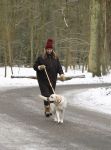 Huizen 11 januari 2026
Linda de Mol en haar partner Jeroen Rietbergen laten in een koud Huizen hun twee honden uit . Ze zijn beide warm aangekleed .