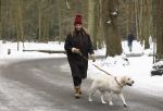 Huizen 11 januari 2026
Linda de Mol en haar partner Jeroen Rietbergen laten in een koud Huizen hun twee honden uit . Ze zijn beide warm aangekleed .