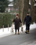 Huizen 11 januari 2026
Linda de Mol en haar partner Jeroen Rietbergen laten in een koud Huizen hun twee honden uit . Ze zijn beide warm aangekleed .