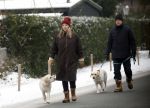 Huizen 11 januari 2026
Linda de Mol en haar partner Jeroen Rietbergen laten in een koud Huizen hun twee honden uit . Ze zijn beide warm aangekleed .