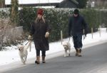 Huizen 11 januari 2026
Linda de Mol en haar partner Jeroen Rietbergen laten in een koud Huizen hun twee honden uit . Ze zijn beide warm aangekleed .