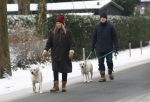 Huizen 11 januari 2026
Linda de Mol en haar partner Jeroen Rietbergen laten in een koud Huizen hun twee honden uit . Ze zijn beide warm aangekleed .