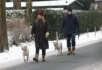 Huizen 11 januari 2026
Linda de Mol en haar partner Jeroen Rietbergen laten in een koud Huizen hun twee honden uit . Ze zijn beide warm aangekleed .