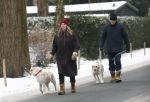 Huizen 11 januari 2026
Linda de Mol en haar partner Jeroen Rietbergen laten in een koud Huizen hun twee honden uit . Ze zijn beide warm aangekleed .