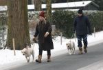 Huizen 11 januari 2026
Linda de Mol en haar partner Jeroen Rietbergen laten in een koud Huizen hun twee honden uit . Ze zijn beide warm aangekleed .