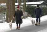 Huizen 11 januari 2026
Linda de Mol en haar partner Jeroen Rietbergen laten in een koud Huizen hun twee honden uit . Ze zijn beide warm aangekleed .