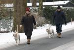 Huizen 11 januari 2026
Linda de Mol en haar partner Jeroen Rietbergen laten in een koud Huizen hun twee honden uit . Ze zijn beide warm aangekleed .