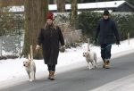 Huizen 11 januari 2026
Linda de Mol en haar partner Jeroen Rietbergen laten in een koud Huizen hun twee honden uit . Ze zijn beide warm aangekleed .