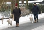 Huizen 11 januari 2026
Linda de Mol en haar partner Jeroen Rietbergen laten in een koud Huizen hun twee honden uit . Ze zijn beide warm aangekleed .
