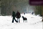 Huizen 11 januari 2026
Linda de Mol en haar partner Jeroen Rietbergen laten in een koud Huizen hun twee honden uit . Ze zijn beide warm aangekleed .